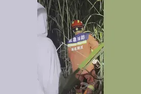 六旬老人户外垂钓时被困芦苇荡 消防员紧急营救图片