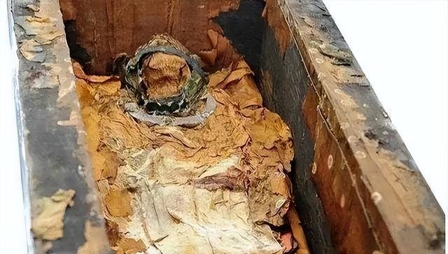 1928年，慈禧尸体被孙殿英的士兵侮辱后，尸体上为何长满白毛？