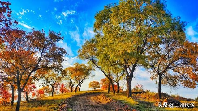 #“我的铁路风景”故事汇##火车和秋天同框# 金秋全域特色线路丨“陇原秋韵”诗画之旅
