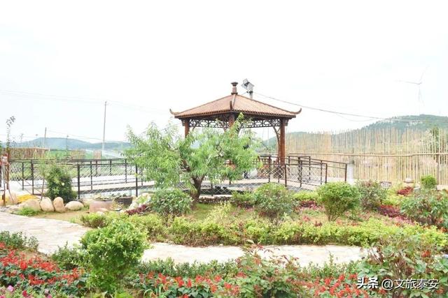 品爆汁肥桃！赏花路秋景！泰安 “小胖城” 一日游就该这么玩！