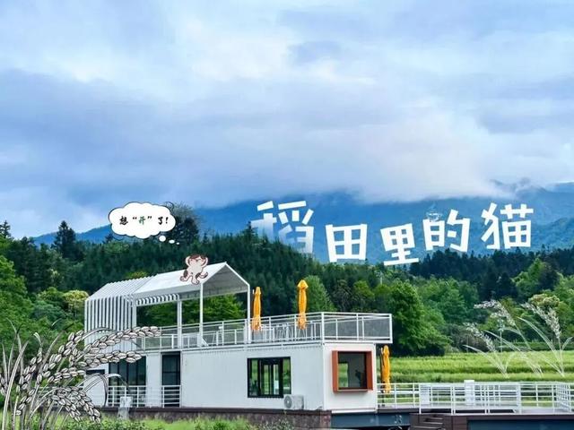 推窗见黄山：徽韵山景，揉进初冬 | 皖美冬日 | 第十五届安徽国际文化旅游节