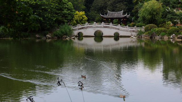 红了大片的乌桕，竟藏于一座园林之中，且被唤作 “福州小西湖”