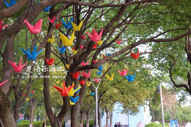 宁波镇海的沿江景观带，没有粉黛花海但是景色很美，非常值得游玩