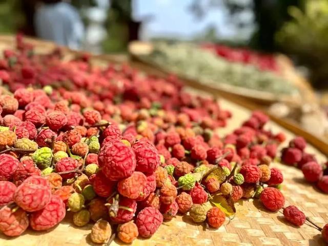 临沂这抹红，醉了秋日山水