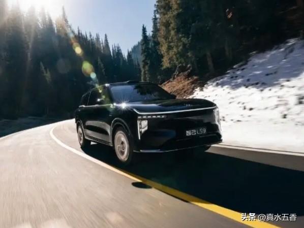 靓车旁的抓拍：《各美其美》