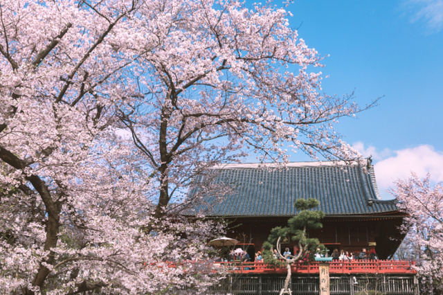 中日差距有多大？看5000元人民币，在日本能游玩多久就知道了