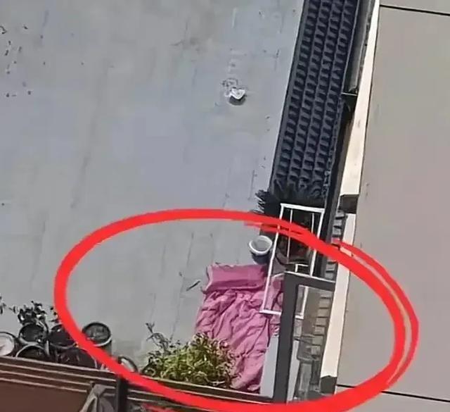 新娘婚礼当天跳楼后续！被媒人骗了	，男方欠十几万赌债？细节曝光