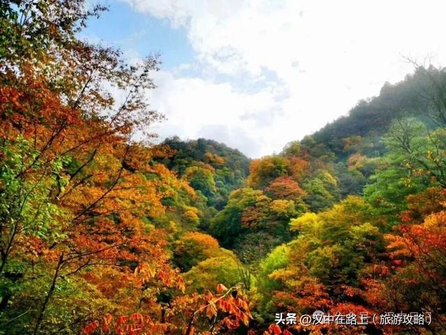 超期待！汉中黎坪红叶季即将开启，剧透一波 “红” 到心巴的美景！
