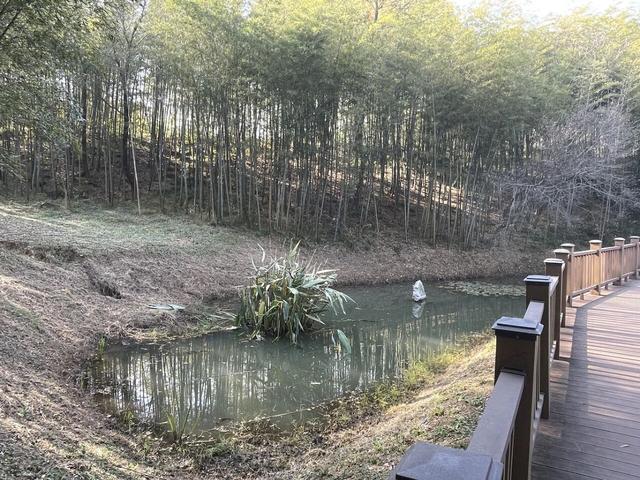 骑游仪征龙山森林公园、六合长江渔村