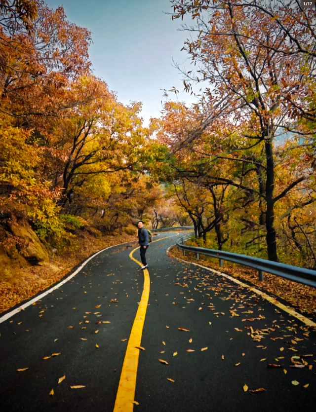 一次门票钱，免费一整年！潍坊5A级景区惠民年卡上线！