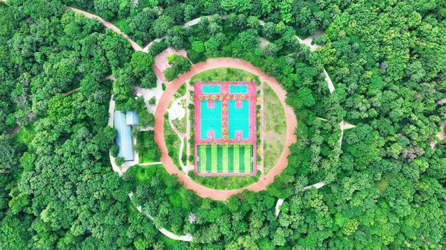 绿满南湖