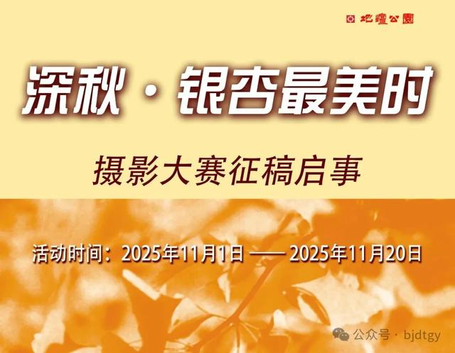 地坛银杏文化节明日开逛!秋日“赶集”天花板来啦→