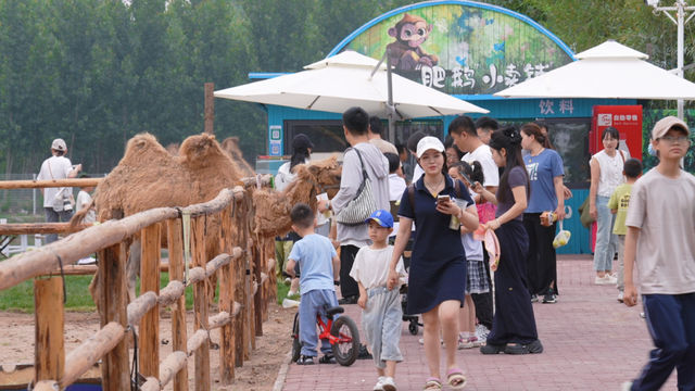 定州30余项多业态融合文旅活动，畅玩整个新年！