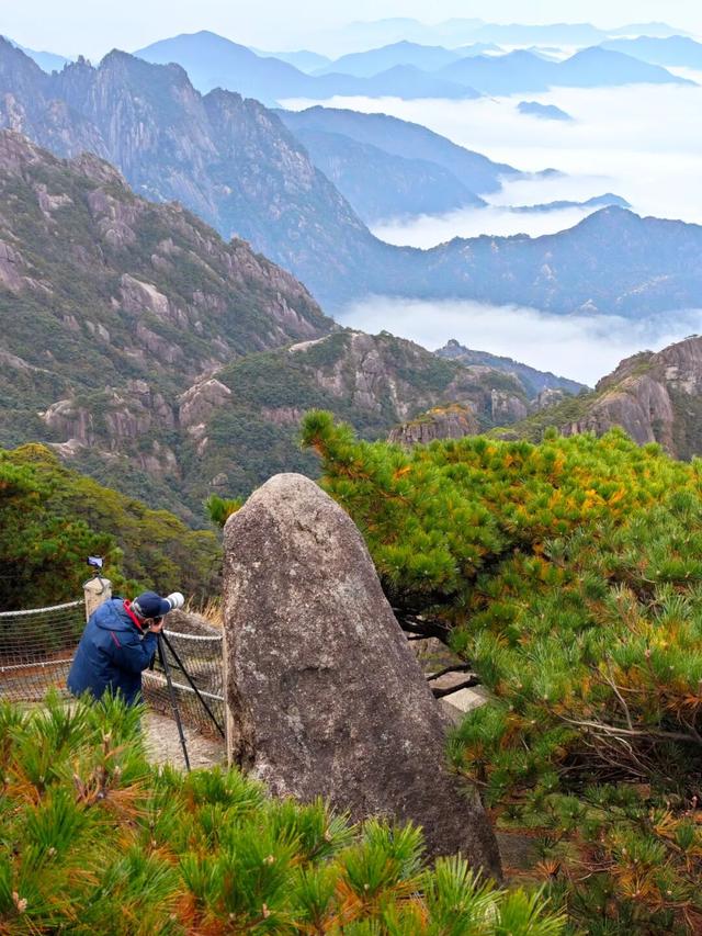 黄山秋色与云海同框的浪漫时刻 | 皖美冬日 | 第十五届安徽国际文化旅游节