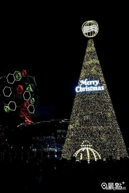 17米巨型圣诞树海景第一排美拍！灯光秀时间13大演出卡司看