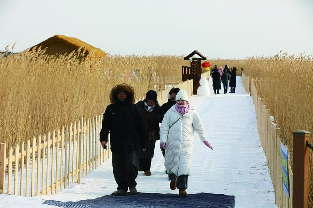 齐齐哈尔：扎龙新景观迎客来