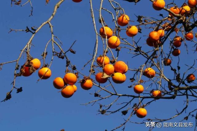 初冬，与白马山寨共赴一场诗意之约