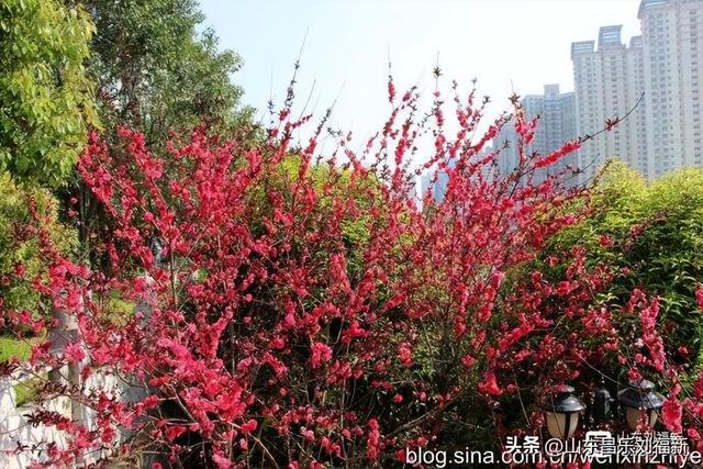 胜利路—民德路—新洲路（江西之旅第廿四篇）