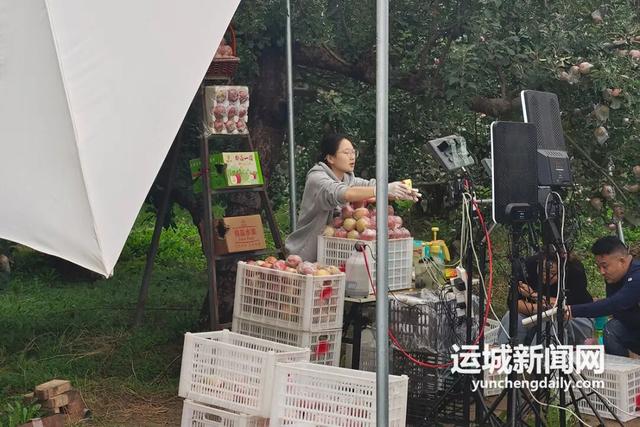 临猗苹果的电商“破圈”之路