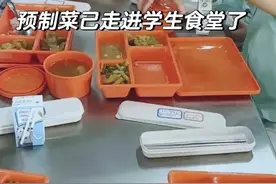教育部关于学校食堂引入预制菜的回应：保障饮食安全与营养需求图片
