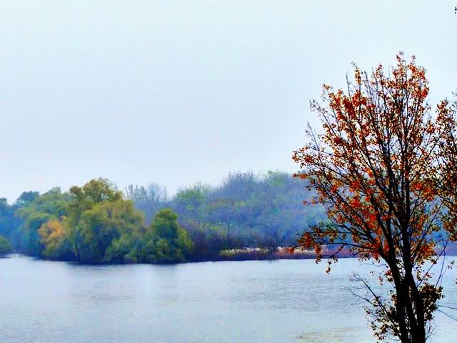 当挖掘莫言文化旅游资源还火热的时候，这家媒体泼的冷水格外珍贵