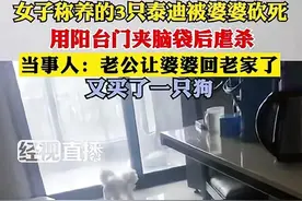 大反转？婆婆砍死三条狗后续！小姑子发文怒斥嫂子，还原真相！图片