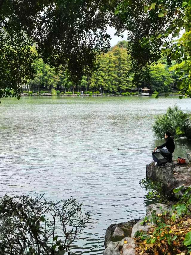 桂林:最是初冬晴午后!