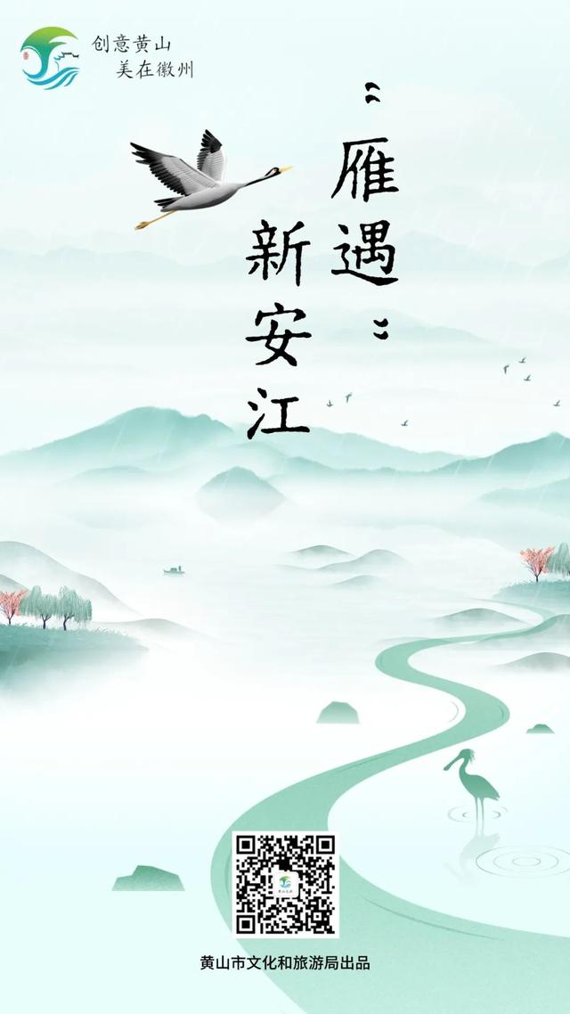 古树观鸟图鉴 | 不止在树林，快来“雁遇”新安江！| 皖美夏日