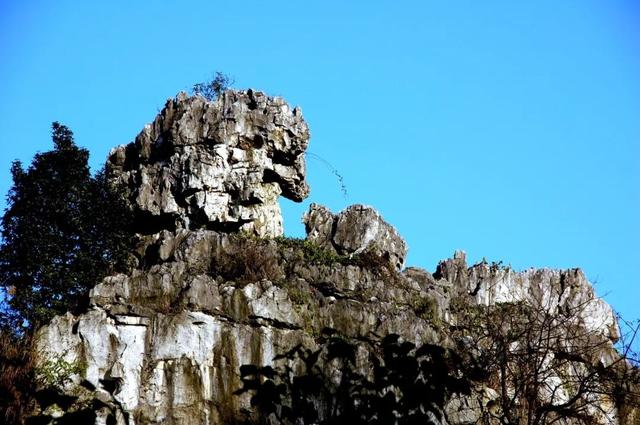 想去宜宾，春夏秋冬都想去~