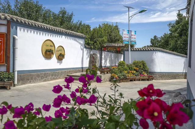 惊艳！春日黄河畔的兰白之约，你不可错过！