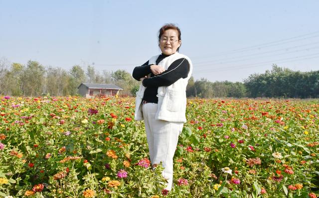 山东茌平杜郎口镇：深秋田园美景醉游人