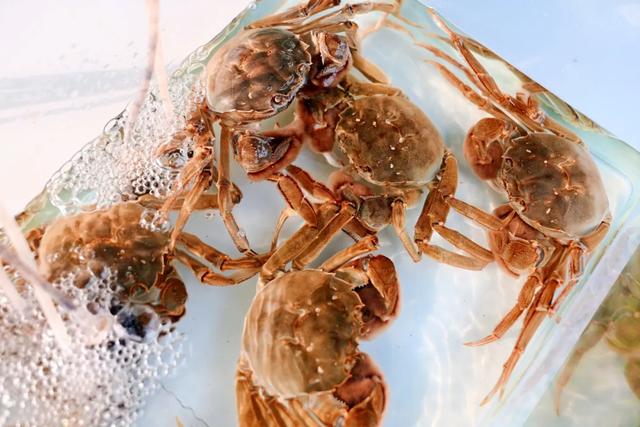 沪上这9条秋游线路，带你走进申城最美的秋景~