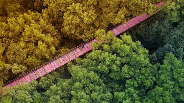 周末圈 | 轨道交通可达，重庆这14个公园，周末撒欢超开心！