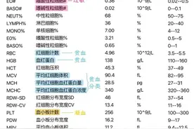 只需要一分钟，一张图教会你看血常规单子！图片