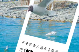 太原市尖草坪区：周末来这儿得劲一下！一键清除emo，开启！图片