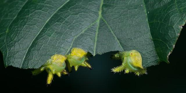 如果为人父母做不到托举自己的孩子，那么请不要贬低孩子