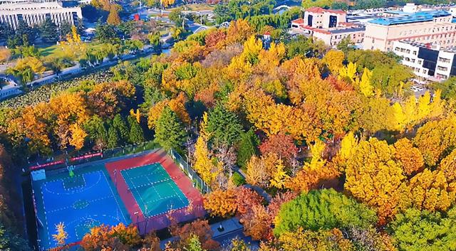 肥城秋冬的童话，收到了吗～满满诗意，满满爱！