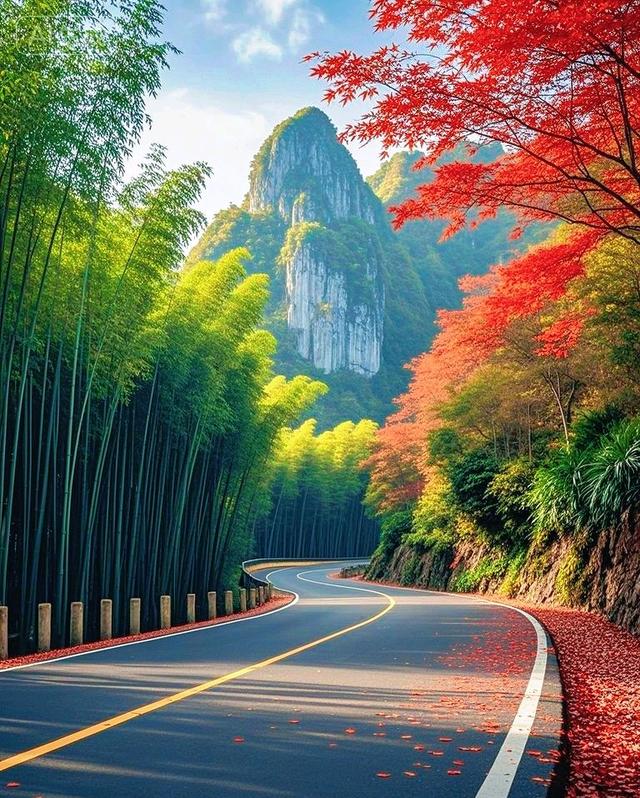 彩林竹海环山径，一径斑斓入画来