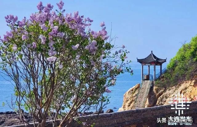 遇见一座岛，爱上一座城