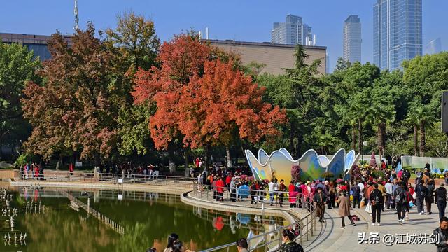 中山公园的秋，是写给武汉的一首诗