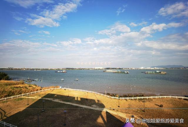 佛山高明小众宝藏渔村！初冬正确打开方式：吹西江风、吃现捞河鲜