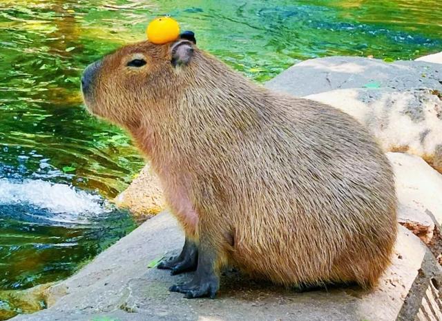 别卷作业了，卷卷大自然！韶关秋日研学，让娃成为朋友圈最酷的崽