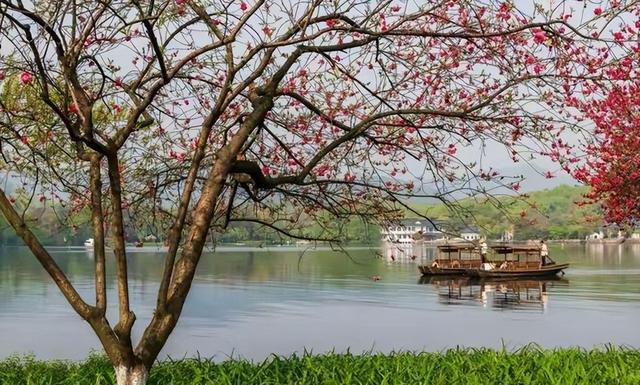 杭州惊现大批日本游客！不挤西湖不抢杭帮菜，真相竟藏在行李箱里