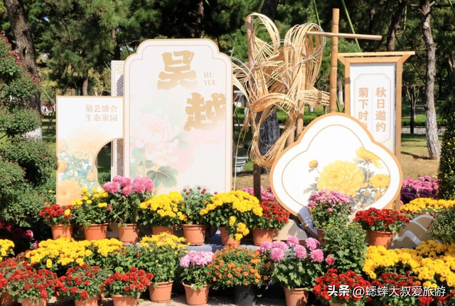 2025杭州植物园菊花展与四大分会场攻略来了，涉及赏玩交通！