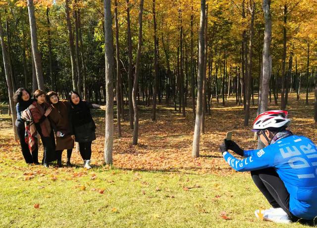 “枫”狂派对，现在进行时……