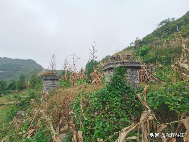 寻找一片僧人墓地，佛门高僧竟然最后落得尸骸无存