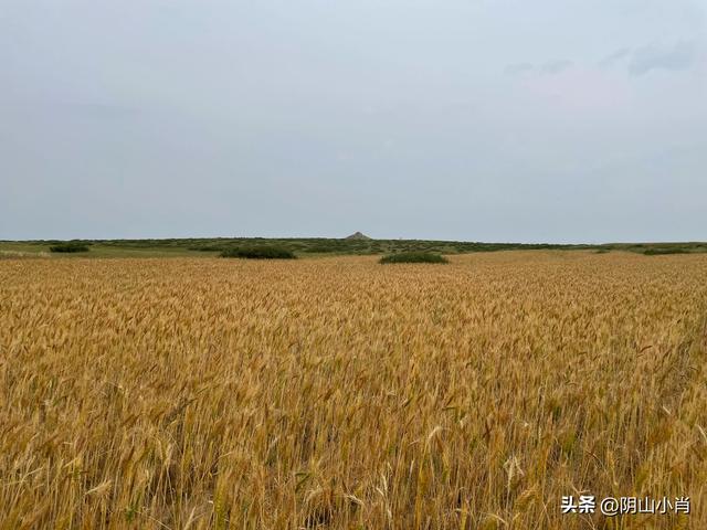 达茂旗达尔罕、百灵庙、乌克忽洞，固阳银号、忽鸡沟田野考察笔记