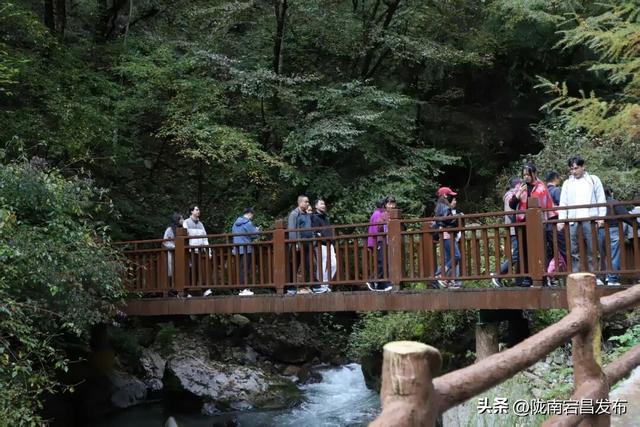 宕昌官鹅沟解锁流量密码！“小钻风”引爆山水景区新玩法