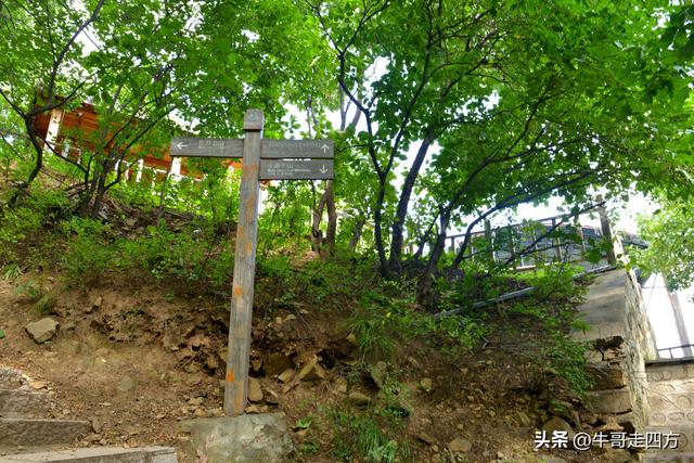 河北百草畔（上）：风动孤石悬险韵，蚁巡深岭蕴生机