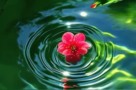 请客吃饭必学的4句开场白，让你一开口就招人喜欢图片